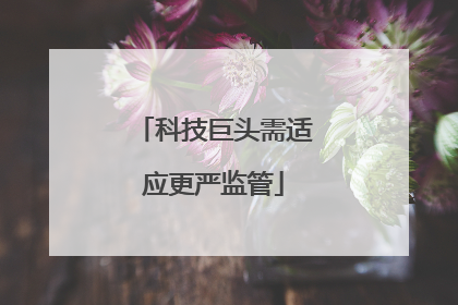 科技巨头需适应更严监管