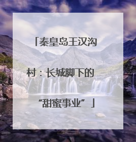 秦皇岛王汉沟村：长城脚下的“甜蜜事业”