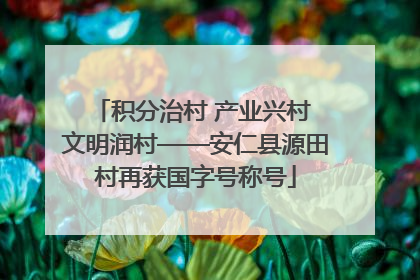 积分治村 产业兴村 文明润村——安仁县源田村再获国字号称号