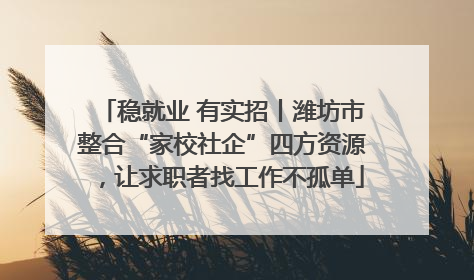 稳就业 有实招丨潍坊市整合“家校社企”四方资源，让求职者找工作不孤单