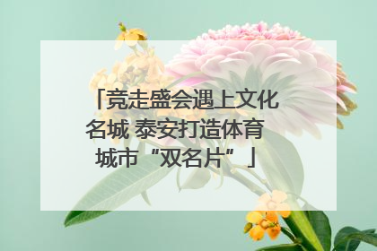 竞走盛会遇上文化名城 泰安打造体育城市“双名片”
