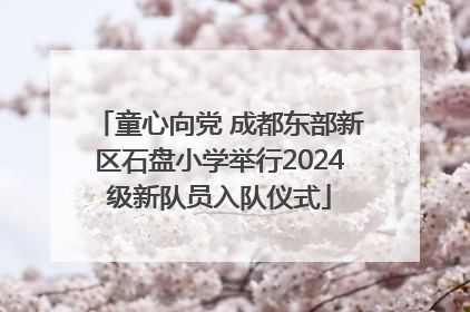 童心向党 成都东部新区石盘小学举行2024级新队员入队仪式