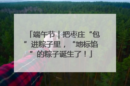 端午节｜把枣庄“包”进粽子里，“地标馅”的粽子诞生了！