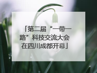 第二届“一带一路”科技交流大会在四川成都开幕