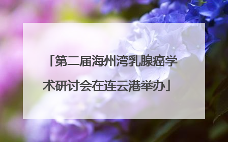 第二届海州湾乳腺癌学术研讨会在连云港举办
