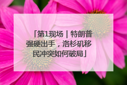 第1现场｜特朗普强硬出手，洛杉矶移民冲突如何破局