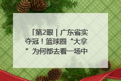 第2眼｜广东省实夺冠！篮球圈“大拿”为何都去看一场中学生比赛？