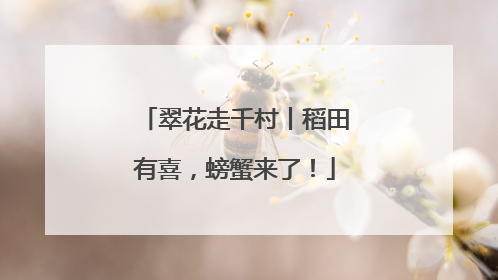 翠花走千村丨稻田有喜，螃蟹来了！