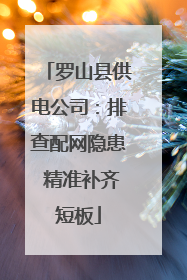 罗山县供电公司：排查配网隐患 精准补齐短板