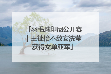 羽毛球印尼公开赛｜王祉怡不敌安洗莹 获得女单亚军