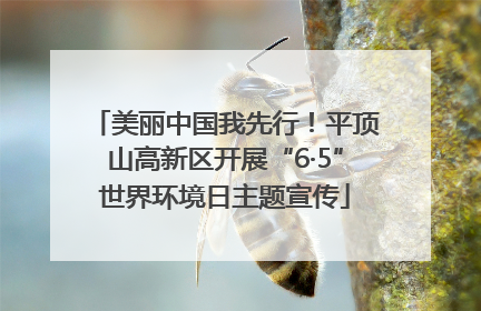美丽中国我先行！平顶山高新区开展“6·5”世界环境日主题宣传