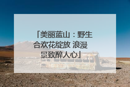 美丽蓝山：野生合欢花绽放 浪漫景致醉人心
