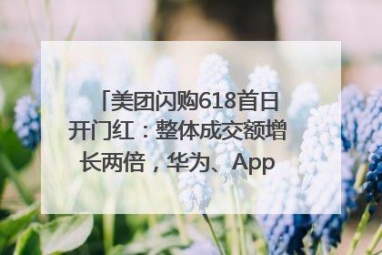 美团闪购618首日开门红：整体成交额增长两倍，华为、Apple、沃尔玛等近800个品牌翻倍增长
