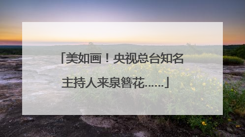 美如画！央视总台知名主持人来泉簪花……