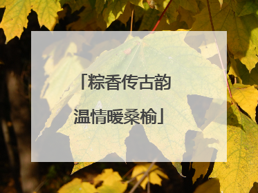 粽香传古韵 温情暖桑榆