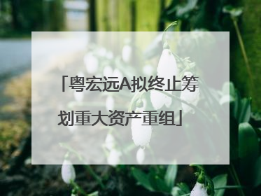 粤宏远A拟终止筹划重大资产重组