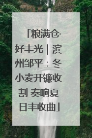 粮满仓·好丰光｜滨州邹平：冬小麦开镰收割 奏响夏日丰收曲