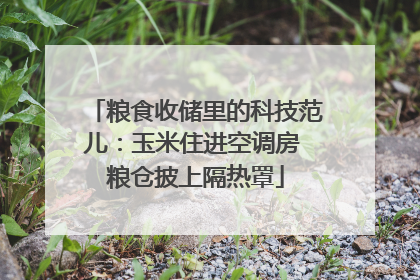 粮食收储里的科技范儿：玉米住进空调房 粮仓披上隔热罩