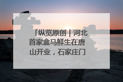 纵览原创｜河北首家盒马鲜生在唐山开业，石家庄门店预计8月开业