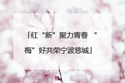 红“新”聚力青春 “梅”好共荣宁波慈城