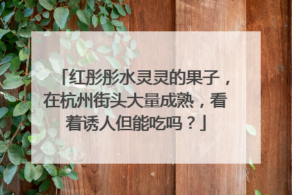 红彤彤水灵灵的果子，在杭州街头大量成熟，看着诱人但能吃吗？