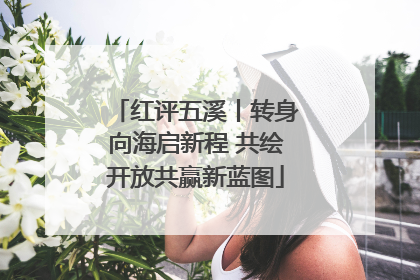 红评五溪丨转身向海启新程 共绘开放共赢新蓝图