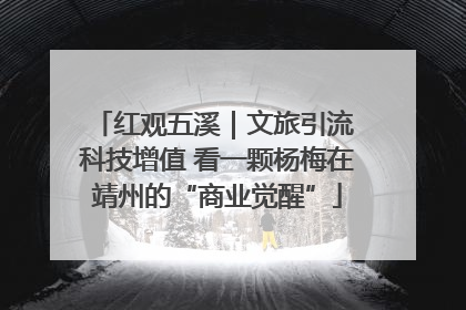 红观五溪｜文旅引流 科技增值 看一颗杨梅在靖州的“商业觉醒”