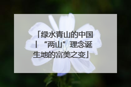 绿水青山的中国丨“两山”理念诞生地的富美之变