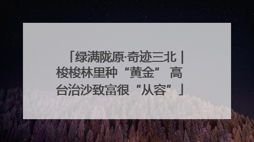 绿满陇原·奇迹三北｜梭梭林里种“黄金” 高台治沙致富很“从容”