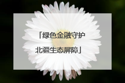 绿色金融守护北疆生态屏障