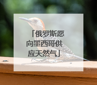 俄罗斯愿向墨西哥供应天然气