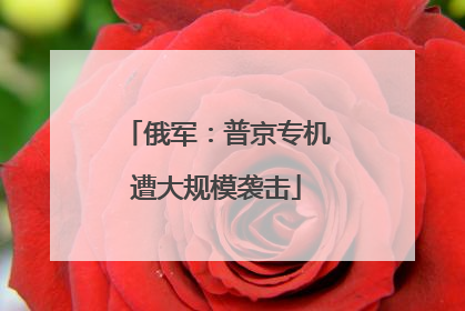 俄军：普京专机遭大规模袭击