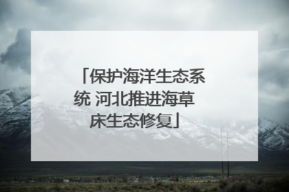 保护海洋生态系统 河北推进海草床生态修复