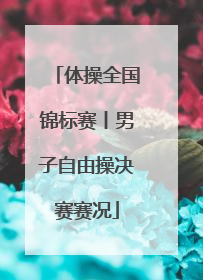 体操全国锦标赛丨男子自由操决赛赛况