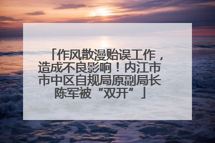 作风散漫贻误工作，造成不良影响！内江市市中区自规局原副局长陈军被“双开”