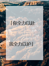 你全力以赴 我全力以护