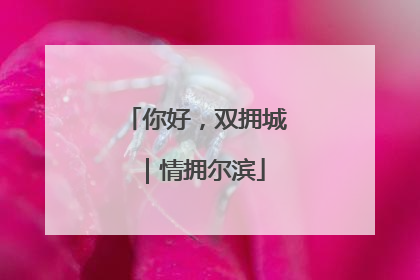 你好，双拥城｜情拥尔滨