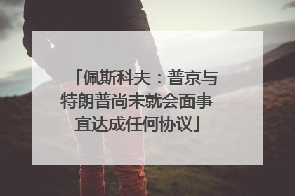 佩斯科夫：普京与特朗普尚未就会面事宜达成任何协议