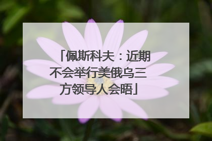 佩斯科夫：近期不会举行美俄乌三方领导人会晤