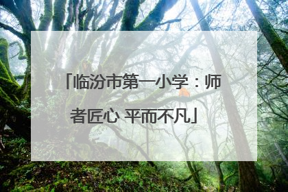 临汾市第一小学：师者匠心 平而不凡