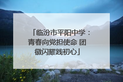 临汾市平阳中学：青春向党担使命 团徽闪耀践初心