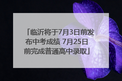 临沂将于7月3日前发布中考成绩 7月25日前完成普通高中录取