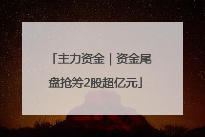 主力资金｜资金尾盘抢筹2股超亿元