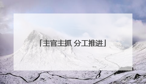 主官主抓 分工推进
