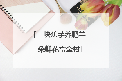 一块蕉芋养肥羊 一朵鲜花富全村