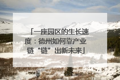 一座园区的生长速度：德州如何靠产业链“链”出新未来