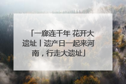 一廊连千年 花开大遗址丨遗产日一起来河南，行走大遗址