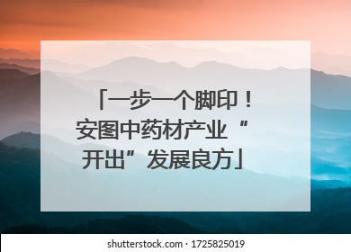 一步一个脚印！安图中药材产业“开出”发展良方