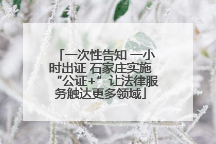 一次性告知 一小时出证 石家庄实施“公证+”让法律服务触达更多领域