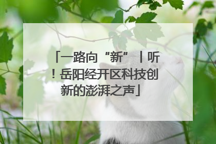 一路向“新”丨听！岳阳经开区科技创新的澎湃之声